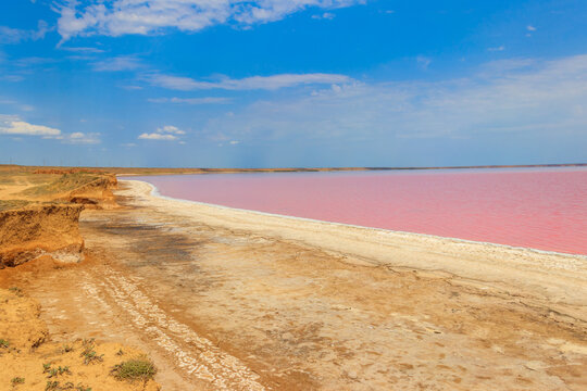 View of the pink salty Syvash lake in Kherson region, Ukraine