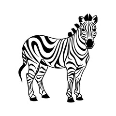 Fototapeta na wymiar Zebra, silhouette African zebra, isolated on white background, vector illustration.
