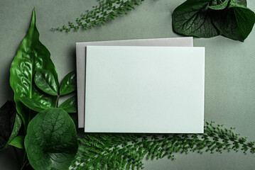 Blank greeting card and green leaves