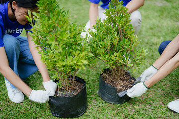 Volunteers of various nationalities are showing solidarity by sacrificing their personal time by planting trees to restore nature to reduce carbon dioxide in the air.