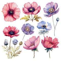 watercolor anemone flower, beautiful floral, AI Generative