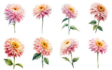 Watercolor chrysanthemum set. Generative Ai