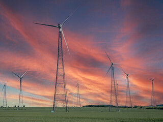 Fototapeta na wymiar Wind farm in summer Renewable energy