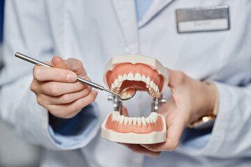 Closeup of unrecognizable female dentist holding tooth model to camera and demonstrating teeth...