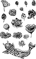 Lotus vector set for sticker and printing on white background.