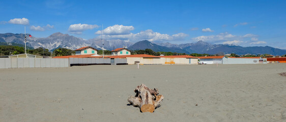 Spiaggia Libera La Rotonda bei Carrara in Italien mit Wurzel im Sand