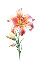 Lily flower isolated on white background. Beautiful blooming plant. Generative AI