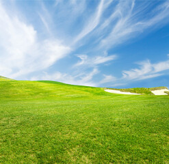 Landscape with green grass field under a blue sky