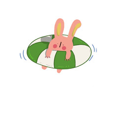 Swim ring and bunny