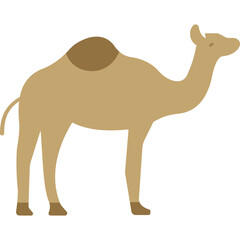 Camel 

