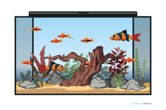 Aquarium underwater interior. Cartoon background with fishes and aquatic plants. Domestic water tank landscape. Aqua scene drawing