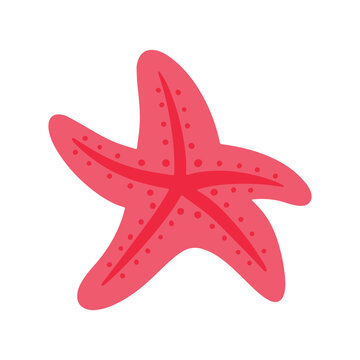 Starfish Sea Animals Underwater Doodle Clipart Vector Illustration