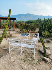 Fototapeta premium a set of table and chairs in the garden