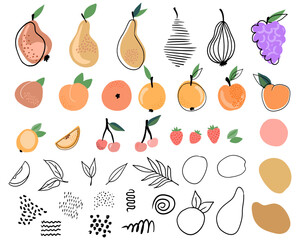 A set vector of cute with abstract flowers, fruits with simple shapes, pear, cherry, strawberry, leaves. correct shapes and textures