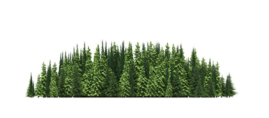 group of trees isolated on a transparent background, big trees in the forest, 3D illustration, cg render
