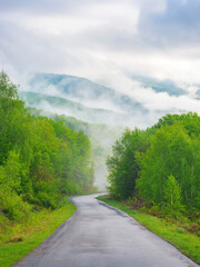 Fototapeta na wymiar as the sun rises, a mystical fog blankets the countryside, shrouding the road in mystery. tranquil scenery of rolling hills and grassy fields is interrupted only by majestic mountains