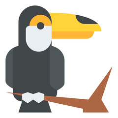 toucan animal tropical nature summer