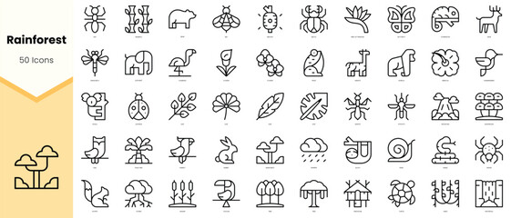 Set of rainforest Icons. Simple line art style icons pack. Vector illustration