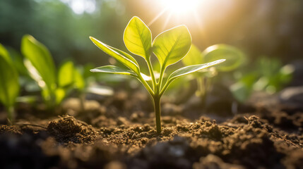 A young plant in the ground in the sunshine, Generative AI