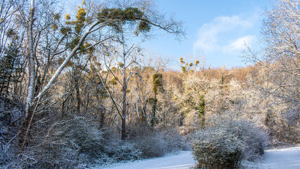 Obraz na płótnie Canvas Winter Landscape around Dudelange in Luxembourg
