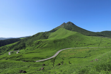 初夏の緑が美しい由布岳