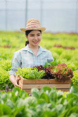 Asian farmers at hydroponic vegetables salad farm.