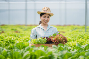 Asian farmers at hydroponic vegetables salad farm.