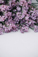 White background with lilac flowers and space for text. Bouquet of small purple flowers. Delicate floral background. Limonium flowers. 