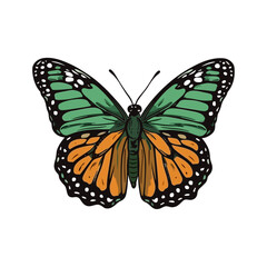 Fototapeta na wymiar Beautiful colorful cartoon exotic vector isolated on white pastel green butterfly with colorful wings and antennae sticker flat design
