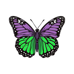 Beautiful colorful cartoon exotic vector isolated on white pastel purple green lime butterfly with colorful wings and antennae sticker flat design