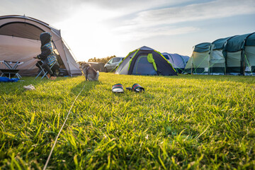 Tents at camping site in england uk - obrazy, fototapety, plakaty