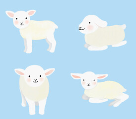 lamb Illustration in various movements