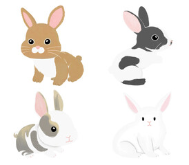 Rabbit illustration of various patterns
