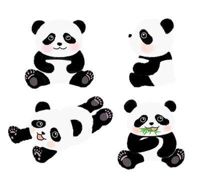 Cute panda illustration in various movements
