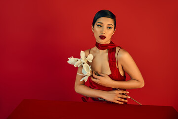 sensual and brunette asian woman with bold makeup, in elegant dress and neckerchief sitting at table with white blooming orchid on red background, generation z, trendy spring concept