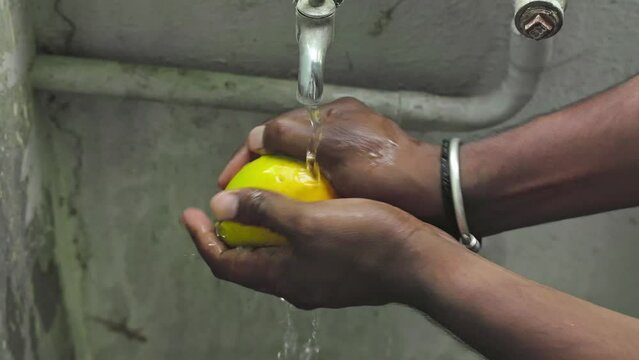 Male hands wash Alphonso or badami mango fruit under tap water at home