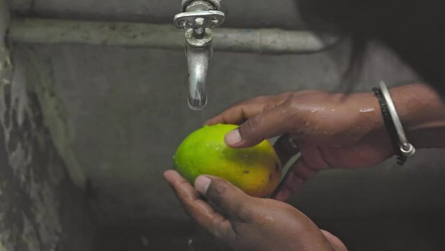 Male hands wash Alphonso or badami mango fruit under tap water at home