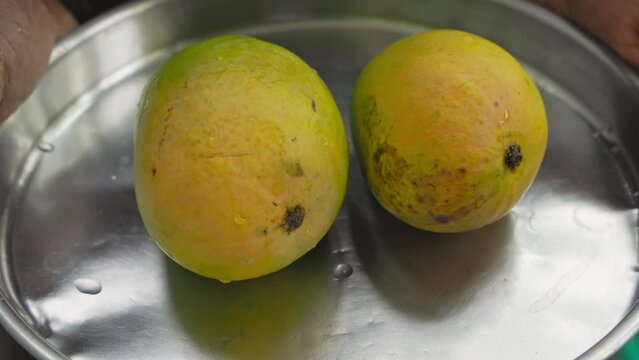 A man holds washed Alphonso or Badami mango fruits on a steel plate