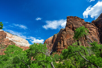 Zion National Park. Zion National Park is administered by the National Park Service and was established by an act of Congress in 1919.