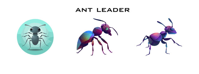 set of ant animal vector illsutration