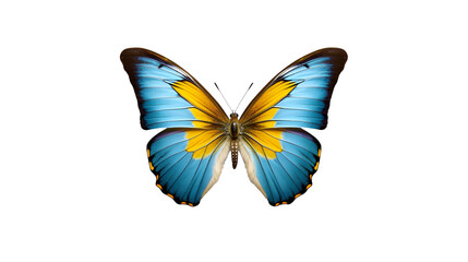 Fototapeta premium 3D Butterfly on Transparent Background - Generative AI