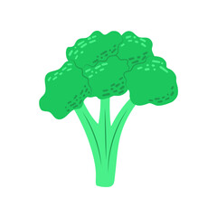 Vector icon broccoli. Natural, vegan,