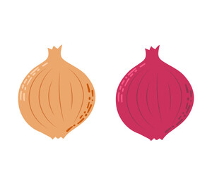 Onion. Whole onion and cut onion. Flat simple design.