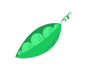 green peas isolated on white background vector illustration.