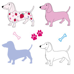 Dachshund set vector, dachshund with strawberries, dachshund outline vector, dachshund silhouette 