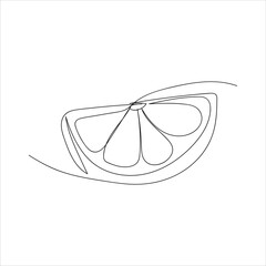 lime. lime slices drawn with a single line. fresh juice. juicy citrus. black lines with added background. vector. on a white background.