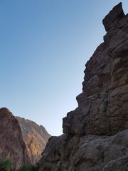 Mountain gorge with palm trees Egyptian Vaadi
