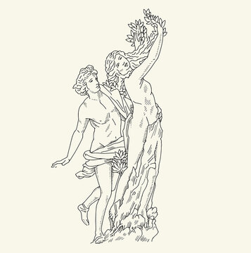 Apollo and Daphne metamorphosis
