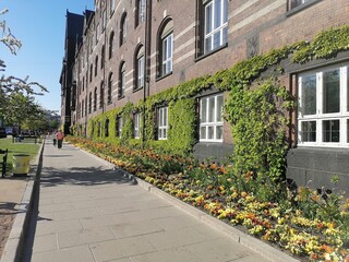 street in Copenhagen 