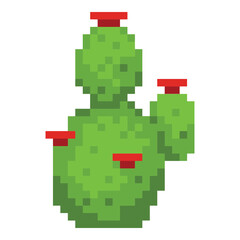 pixel cactus